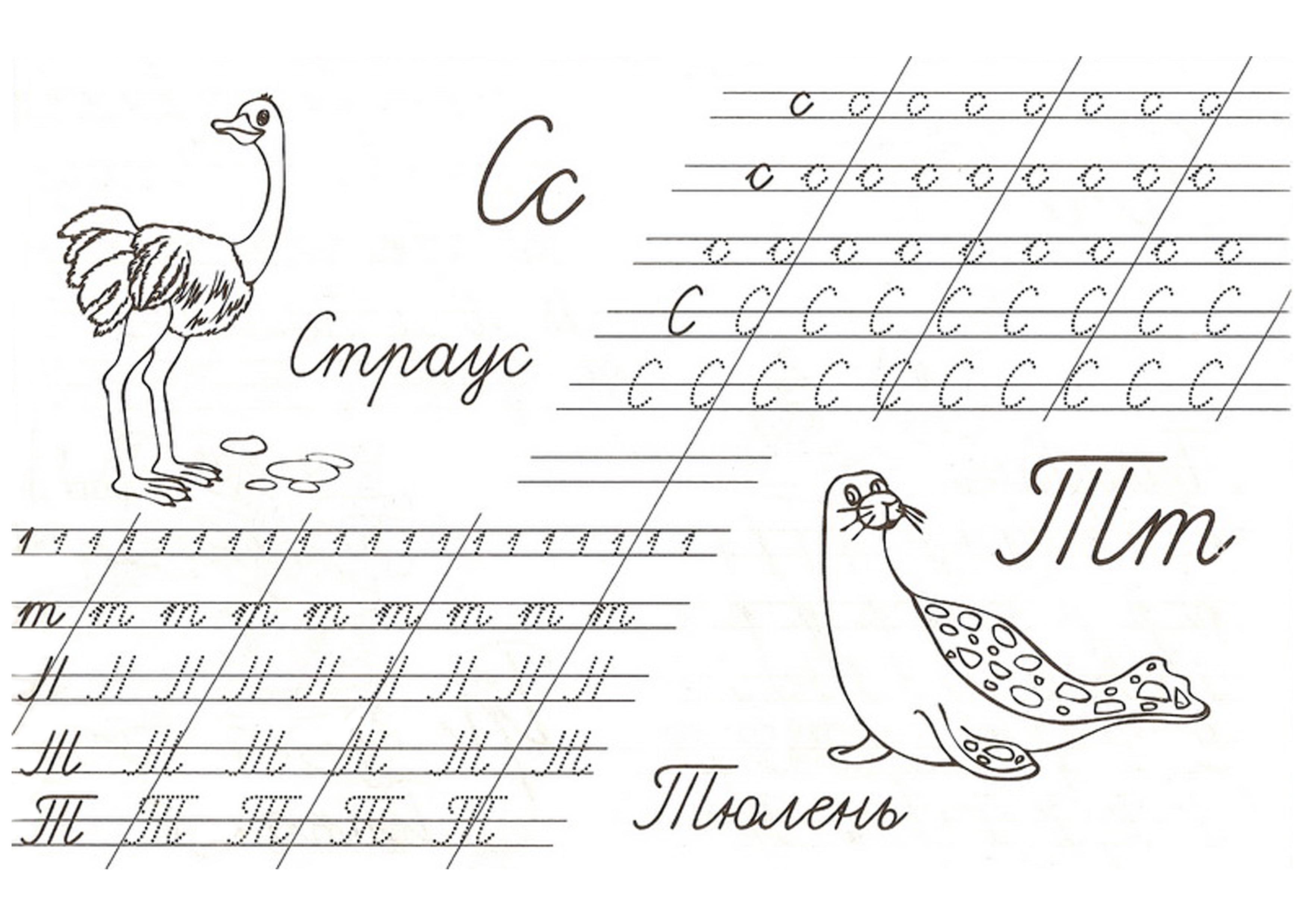 Заголовок